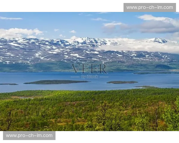 瑞典足球的蓝色与黄色碰撞:佐加顿斯与诺科平的恩怨情仇