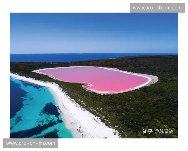 龙腾碧海,双岛争辉:中国与特立尼达和多巴哥的奇妙碰撞